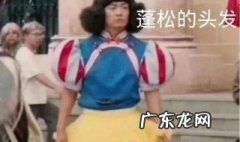 淡黄的长裙这是什么梗