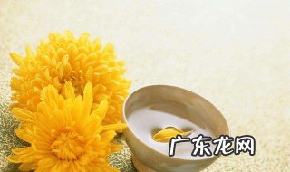 菊花扦插后几天能见阳光 菊花什么时候扦插成活率高
