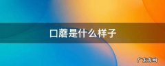 口蘑是什么样子的 口蘑是什么样子