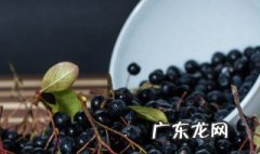 哪类人不宜吃黑枸杞 哪类人不能吃黑枸杞