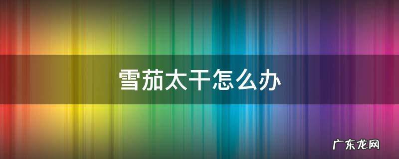 雪茄太干怎么办 雪茄变干怎样处理