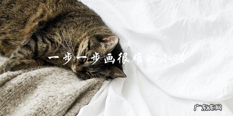 如何一步一步画出难度较高的小猫?
