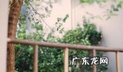 憨憨是啥意思网络 憨憨是什么意思网络用语