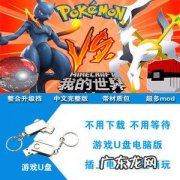 怎么样用电脑玩口袋妖怪VS
