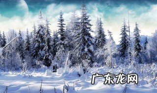 春天下雪又打雷的诗句 适合春天下雪又打雷的朋友圈
