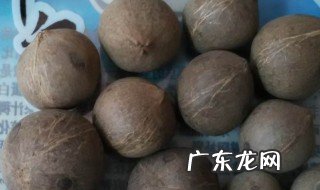 哪类人不宜吃海椰皇 哪类人不宜吃海椰皇呢