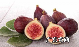 无花果为什么叫它无花果 无花果为啥叫无花果