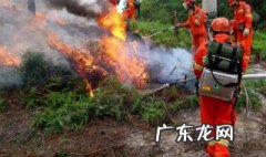 森林防火标语 森林防火标语 最新 简单明了