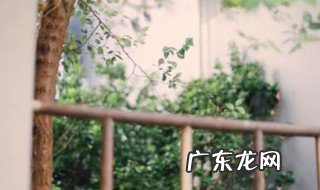 当你从我眼前慢慢走过是什么歌词 当你从我眼前慢慢走过是什么歌