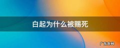 白起为什么被赐死 白起为什么被赐死的六大原因