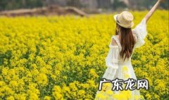 春天和花的唯美诗句 春天和花的唯美诗句有哪些