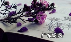 今生已不再寻觅是什么歌 歌曲今生已不再寻觅是什么歌