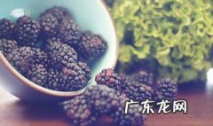 桑葚搭配什么一起吃比较好 桑葚搭配什么一起吃