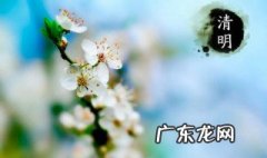 清明节手抄报内容文字50字 清明节手抄报内容文字