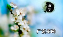 清明节手抄报内容该写什么? 清明节手抄报内容写什么