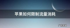 苹果怎么使用流量限制 苹果如何限制流量消耗