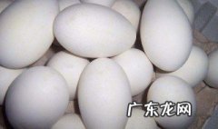 鹅蛋有什么营养 鹅蛋有什么营养?营养成分比鸡蛋高吗?