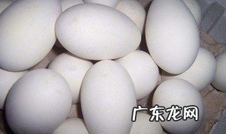 鹅蛋有什么营养 鹅蛋有什么营养?营养成分比鸡蛋高吗?