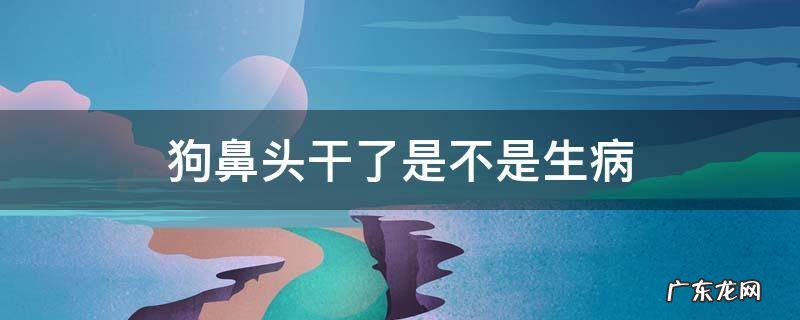 狗鼻头干了是不是生病 狗鼻子干的是不是生病了