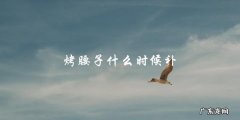 烤腰子什么时候补