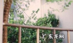 杨柳青青江水平是在哪里所作 杨柳青青江水平诗的全文