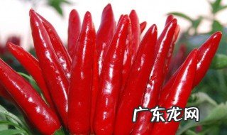 吃辣椒的功效与禁忌 吃辣椒的功效和作用