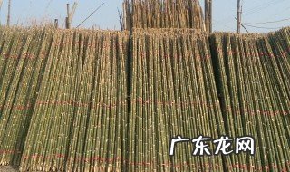 毛竹大棚如何搭建 毛竹大棚搭建视频