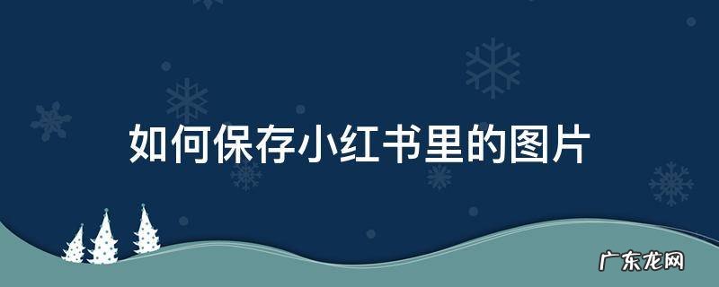 怎样保存小红书里的图片 如何保存小红书里的图片