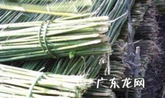 用竹子能做大棚吗? 用竹子能做大棚吗