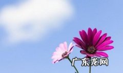 2020年发朋友圈正能量 2020年发朋友圈正能量的句子