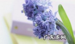 适合发朋友圈的唯美句子有什么 适合在朋友圈发的唯美句子