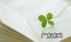 霸气可爱的说说 霸气可爱的朋友圈句子