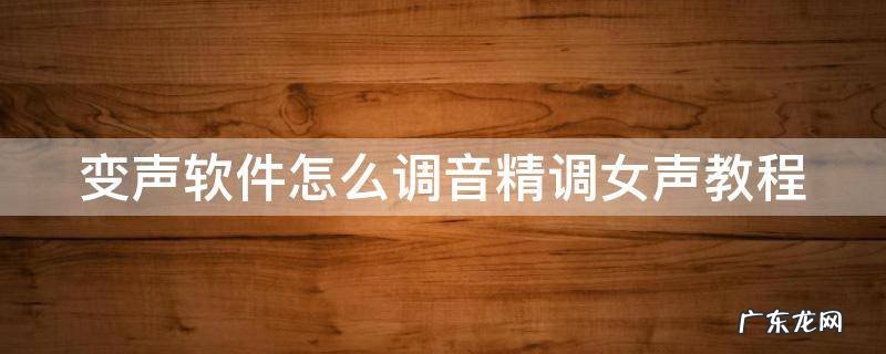 变声软件怎么调音精调女声教程 变声软件怎么调音精调女声教程视频