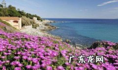 春暖花开的句子朋友圈的语句 春暖花开的句子