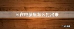 在电脑里怎么打出来拼音 ％在电脑里怎么打出来