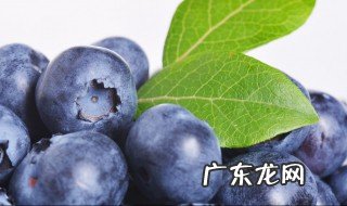 新鲜蓝莓怎么保存时间长些 新鲜蓝莓怎么保存时间长