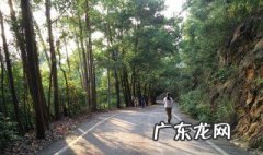 女人早上晨跑心情说说 春天晨跑发朋友圈的句子