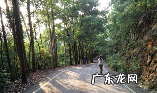 女人早上晨跑心情说说 春天晨跑发朋友圈的句子