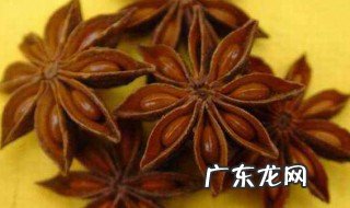 八角的作用与功效及禁忌 八角的功效与作用与禁忌