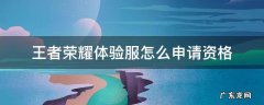 王者荣耀体验服怎么申请资格 怎样申请王者荣耀体验服资格