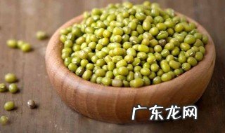 绿豆怎么种植方法视频 绿豆怎么种?