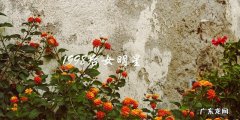 这些1998后女明星的成长故事，你绝对猜不到！