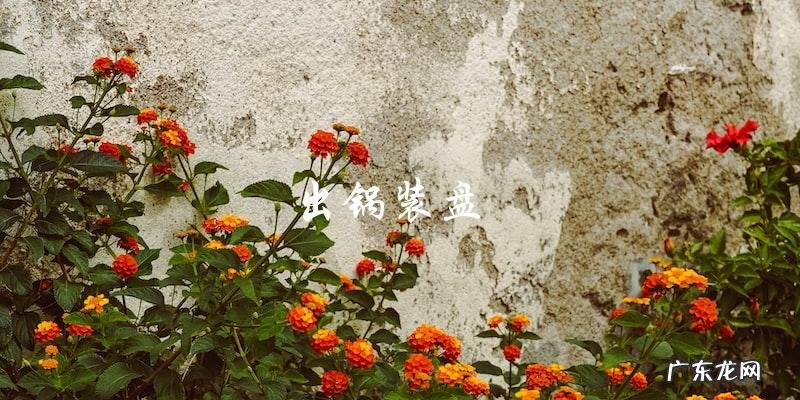 学做大红鱼的家常菜,这个视频教你!