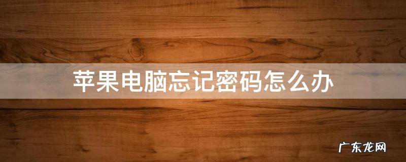 苹果电脑忘记密码怎么办系统无法让我登录 苹果电脑忘记密码怎么办
