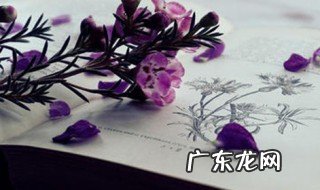 诗的特点 诗歌的特点
