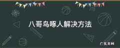 八哥鸟爱啄人怎么回事 八哥鸟啄人解决方法
