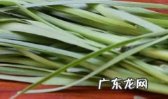 哪类人不宜吃韭菜盒子 哪类人不宜吃韭菜