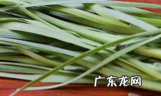 哪类人不宜吃韭菜盒子 哪类人不宜吃韭菜