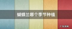 蝴蝶兰什么季节种植 蝴蝶兰哪个季节种植