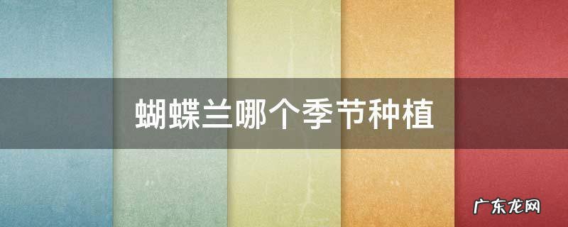 蝴蝶兰什么季节种植 蝴蝶兰哪个季节种植